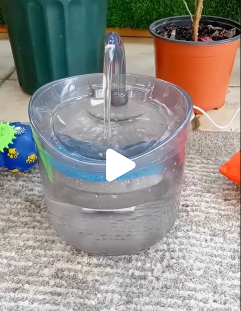 Fuente de Agua Inteligente para Mascotas (3 Filtros Incluidos)