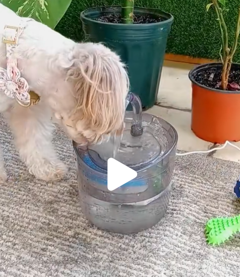 Fuente de Agua Inteligente para Mascotas (3 Filtros Incluidos)